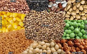 papa bun  - images.jpeg